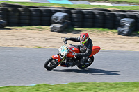 enduro-digital-images;event-digital-images;eventdigitalimages;lydden-hill;lydden-no-limits-trackday;lydden-photographs;lydden-trackday-photographs;no-limits-trackdays;peter-wileman-photography;racing-digital-images;trackday-digital-images;trackday-photos